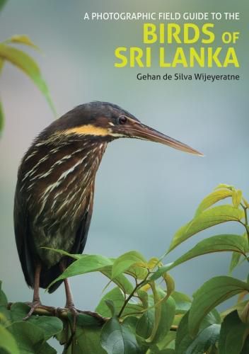 Cover image for Photographic Field Guide to the Birds of Sri Lanka