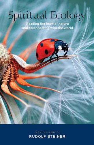 Cover image for Spiritual Ecology: Reading the Book of Nature and Reconnecting with the World