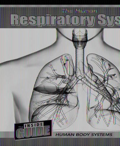 Cover image for The Human Respiratory System