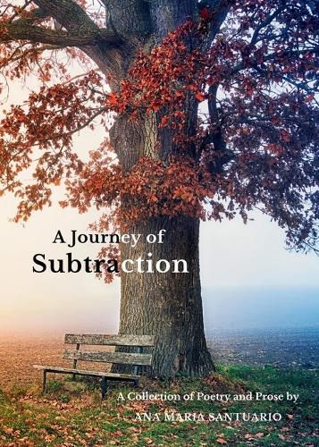 Cover image for A Journey of Subtraction