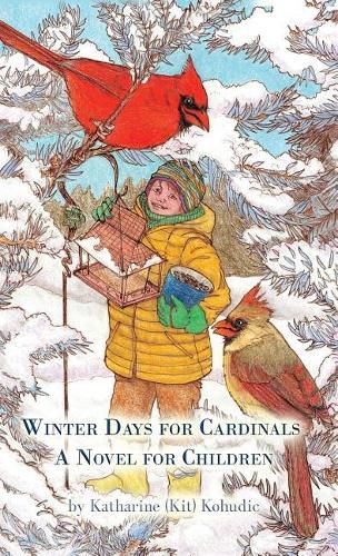 Cover image for Winter Days for Cardinals: A Novel for Children