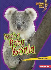 Cover image for Meet a Baby Koala