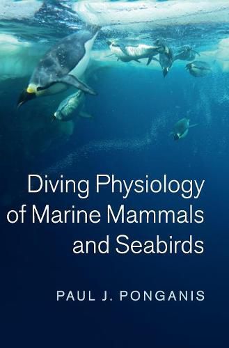 Cover image for Diving Physiology of Marine Mammals and Seabirds