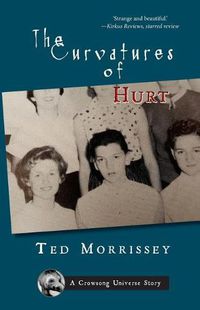 Cover image for The Curvatures of Hurt