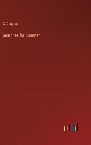 Cover image for Searches for Summer