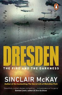Cover image for Dresden: The Fire and the Darkness