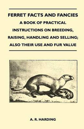 Cover image for Ferret Facts and Fancies - A Book of Practical Instructions on Breeding, Raising, Handling and Selling; Also Their Use and Fur Value