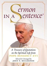 Cover image for Sermon in a Sentence