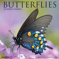 Cover image for Butterflies 2025 12 X 12 Wall Calendar