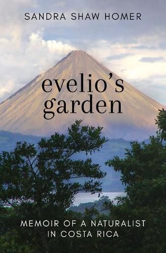 Cover image for Evelio's Garden