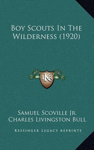 Cover image for Boy Scouts in the Wilderness (1920)