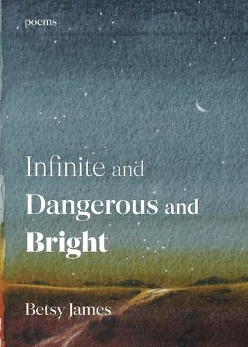 Cover image for Infinite and Dangerous and Bright