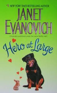 Cover image for Hero at Large