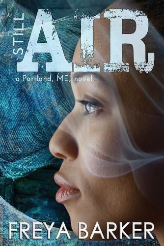 Cover image for Still Air: a Portland, ME, novel