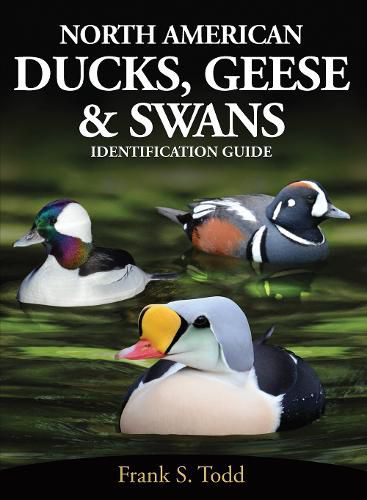 Cover image for North American Ducks, Geese and Swans: identification guide