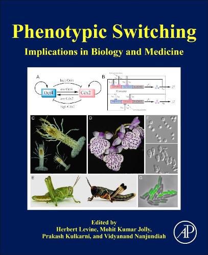 Cover image for Phenotypic Switching