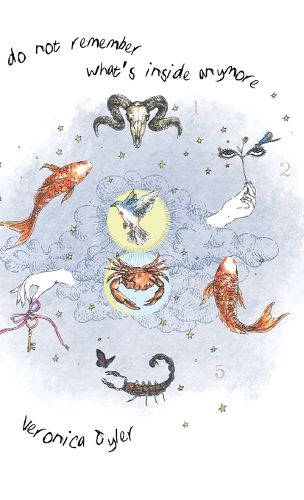 Cover image for I do not remember what's inside anymore