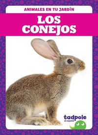 Cover image for Los Conejos (Rabbits)