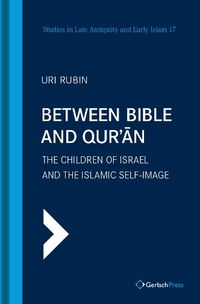 Cover image for Between Bible and Qur'an