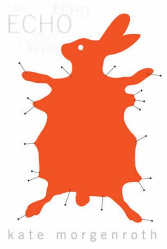 Cover image for Echo