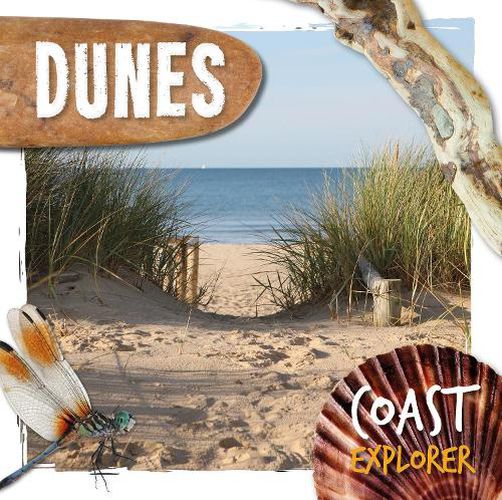 Cover image for Dunes