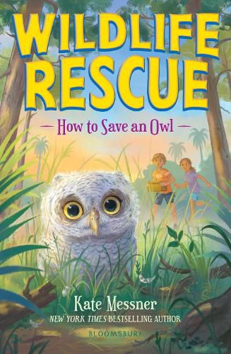 Cover image for How to Save an Owl