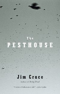 Cover image for The Pesthouse