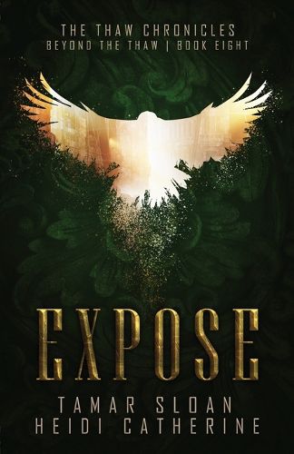 Cover image for Expose, Book 8, The Thaw Chronicles