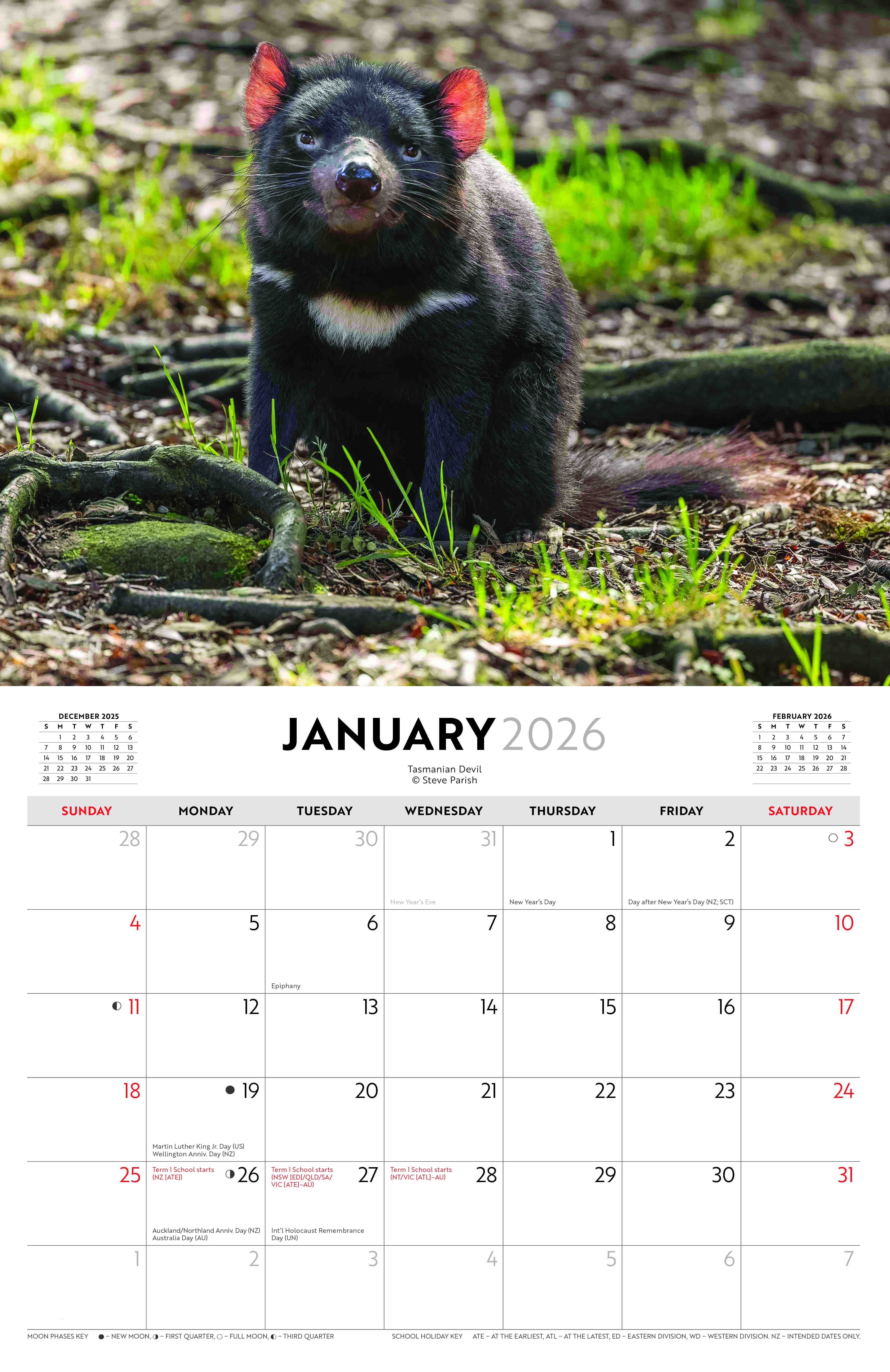 Australian Wildlife - Steve Parish 2026 Horizontal Calendar