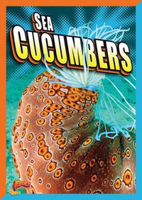 Cover image for Sea Cucumbers