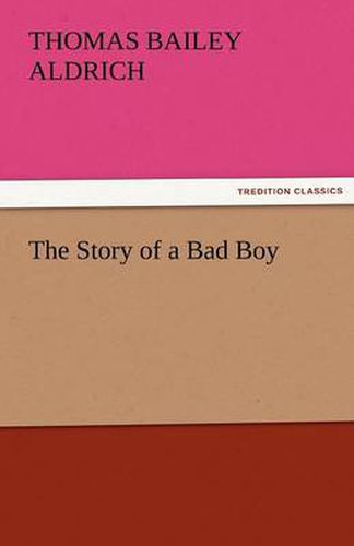 Cover image for The Story of a Bad Boy