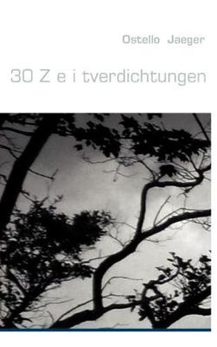 Cover image for 30 Z e i tverdichtungen