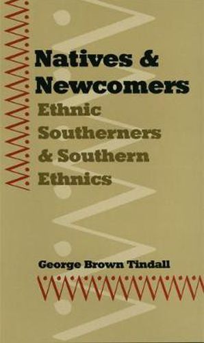 Cover image for Natives and Newcomers: Ethnic Southerners and Southern Ethnics