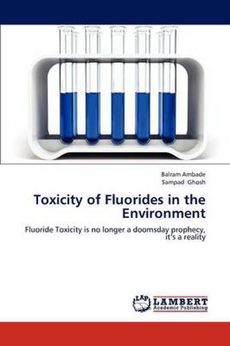 Cover image for Toxicity of Fluorides in the Environment