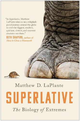 Superlative: The Biology of Extremes