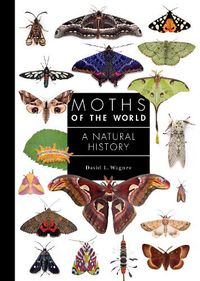 Cover image for Moths of the World