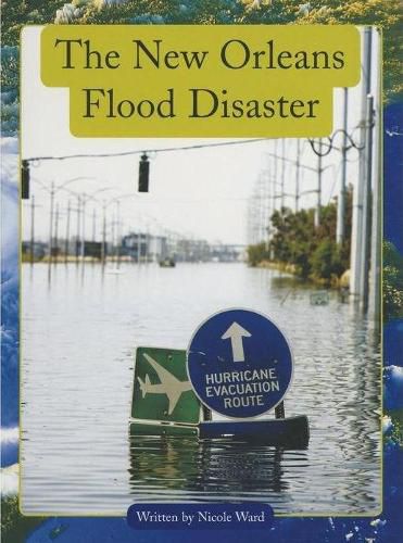 Cover image for Springboard Upper: New Orleans Flood Disa