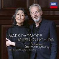 Cover image for Schubert: Schwanengesang