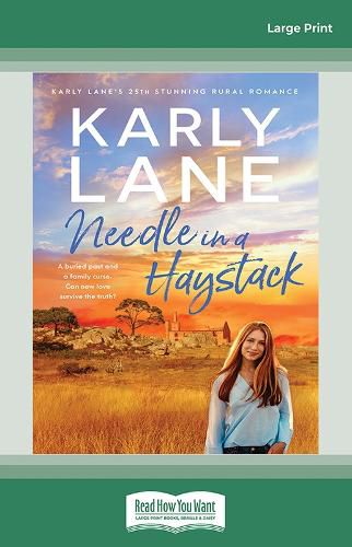 Cover image for Needle in a Haystack