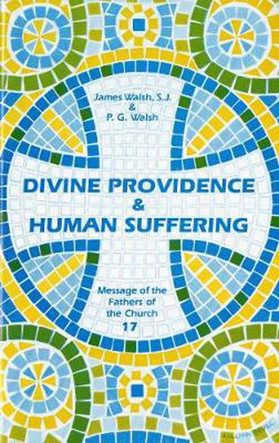 Cover image for Divine Providence and Human Suffering