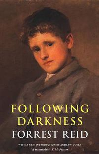 Cover image for Following Darkness
