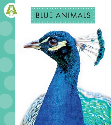 Cover image for Blue Animals