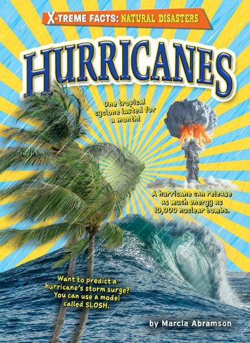 Cover image for Hurricanes