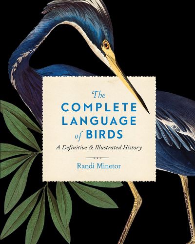 The Complete Language of Birds: Volume 13