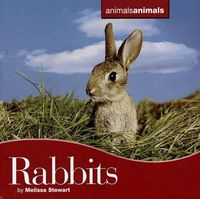 Cover image for Rabbits