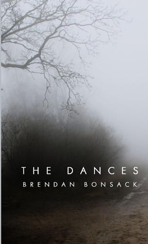 Cover image for The Dances