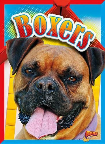 Cover image for Boxers