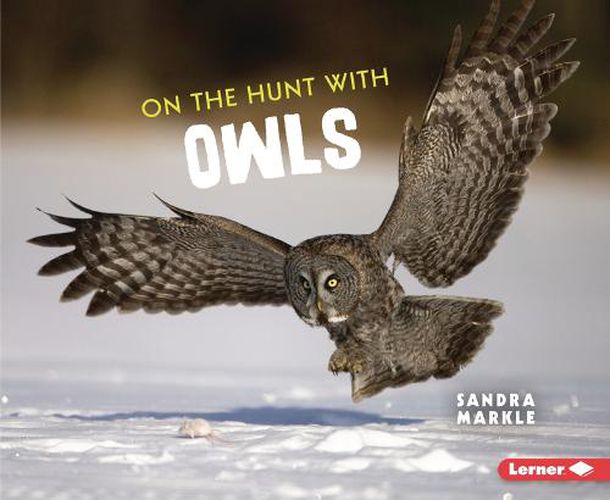 Cover image for On the Hunt with Owls