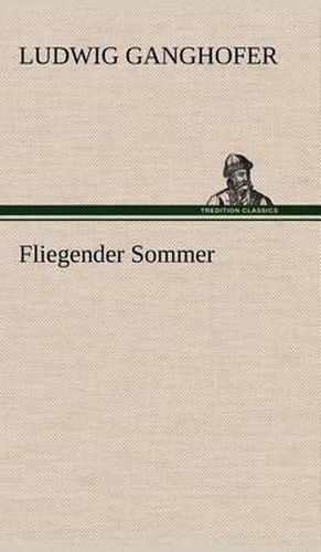 Cover image for Fliegender Sommer