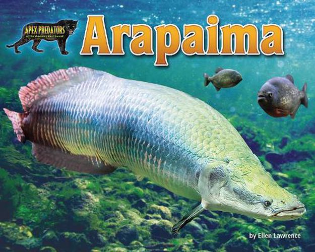 Cover image for Arapaima